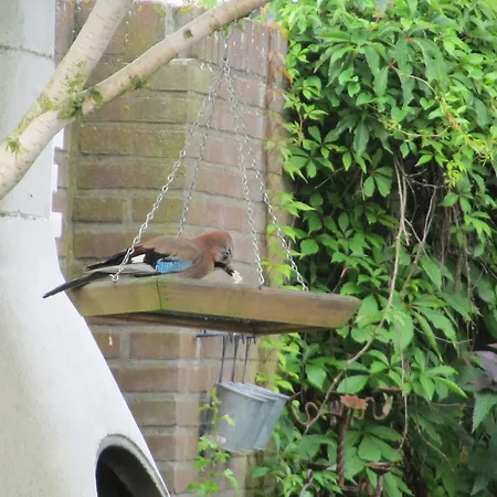 Bed & Breakfast Burghvliet 